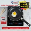 Non Stick Induction Frying Pan 22cm Black